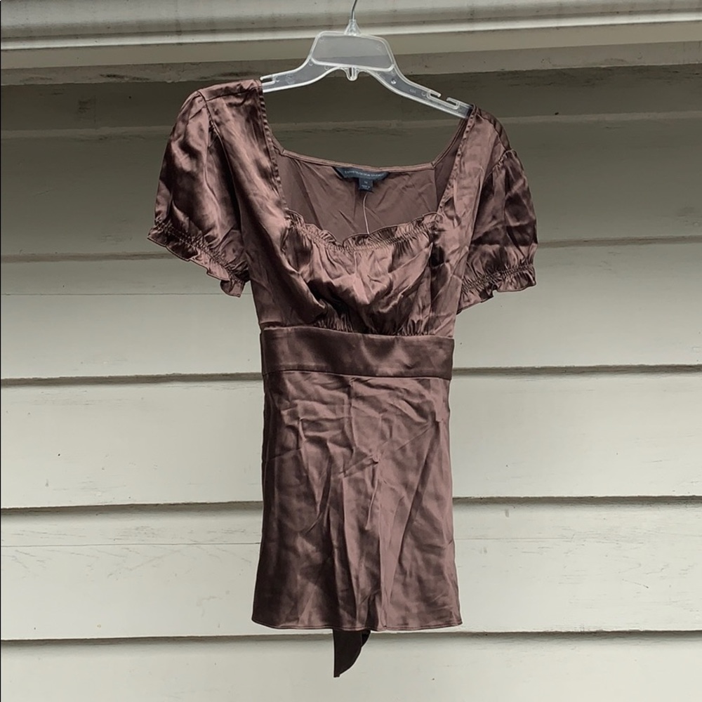 Brown Silk Express Short Sleeved Blouse